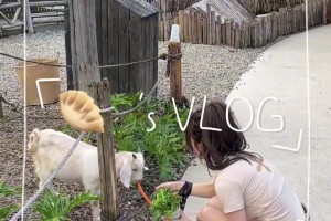 韦世豪老婆的镜头里只出现过一次韦世豪，嫂子还是怕豪哥蹭她流量