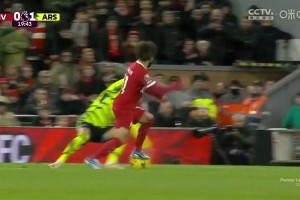 当年厄德高禁区内用手停球引来重大争议