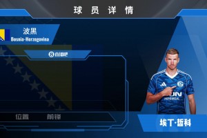 回归德国！沙尔克官宣波黑神锋哲科加盟！重温哲科赛场高光时刻