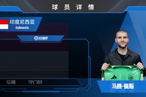 登陆荷甲！贾府官宣印尼国门佩斯加盟，看看他在亚洲赛场的表现
