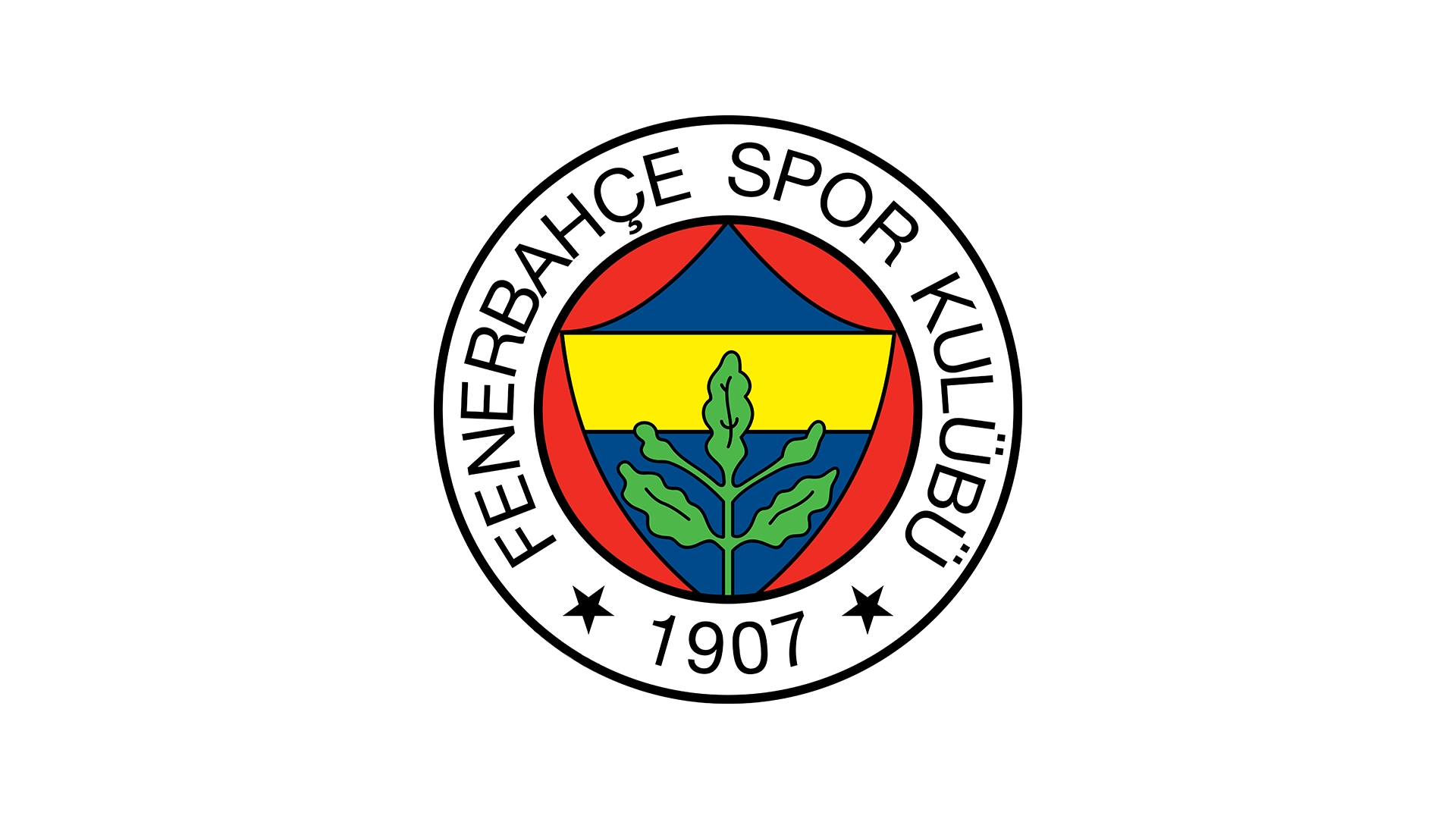 费内巴切主席：土耳其足球百兴待兴，熟态必需供重新修造