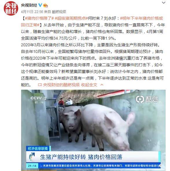 超级猪周期拐点何时来？刘永好：明年下半年猪肉价格或回归正常-直播吧zhibo8.cc