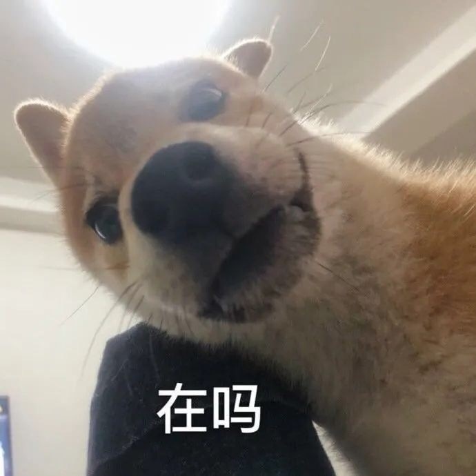 今日趣图:又到了一周一次的吧友斗图环节-直播吧zhibo8.cc