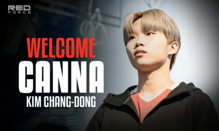 ns上单canna去年不是很稳今年想拿一阵