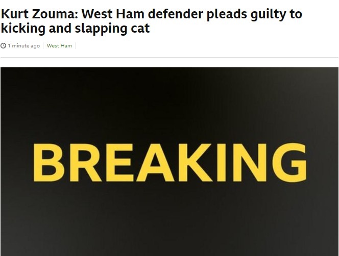BBC：祖马对虐猫事件表示认罪，他违反两项《动物福利法》规定
