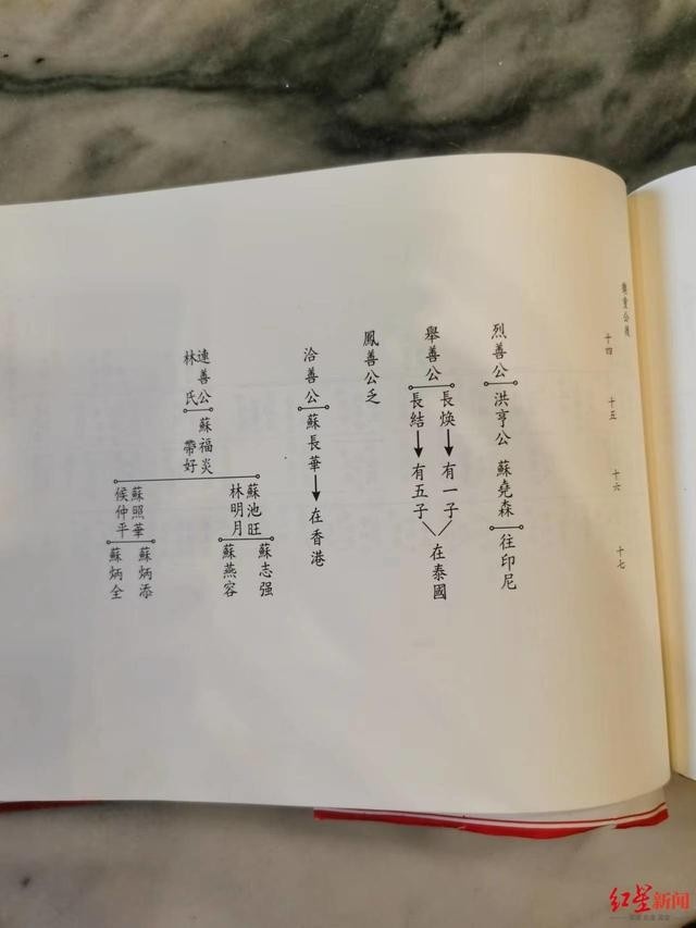 苏轼家谱图图片