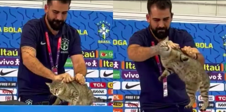 ���ﱣ����֯���߰�����Э��Ϊ��è��Ǹ�����⳥100�����Ƕ�