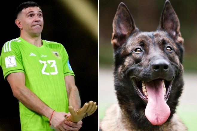 太阳报：马丁内斯花2万镑买下一只警犬，来保护世界杯奖牌和家人