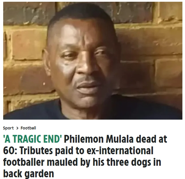 ESPN：前赞比亚国脚被自家养的三条狗袭击后死亡，年仅60岁