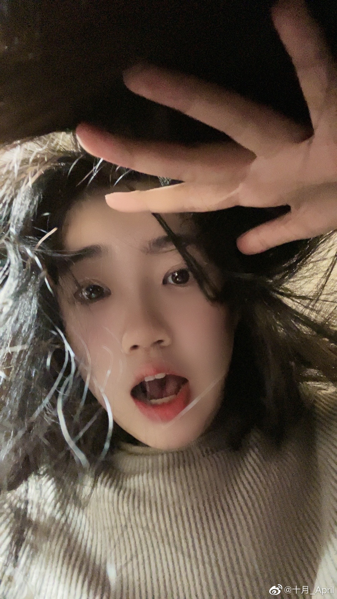 解说十月晒照：新的故事会在夏天的温柔晚风里慢慢开始