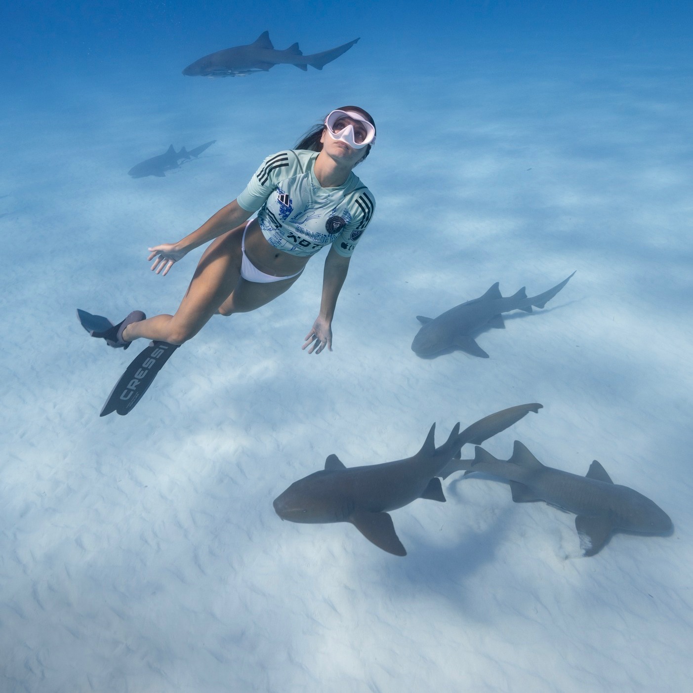 會玩??邁阿密國際發布新球衣宣傳片，美女模特與鯊魚共舞