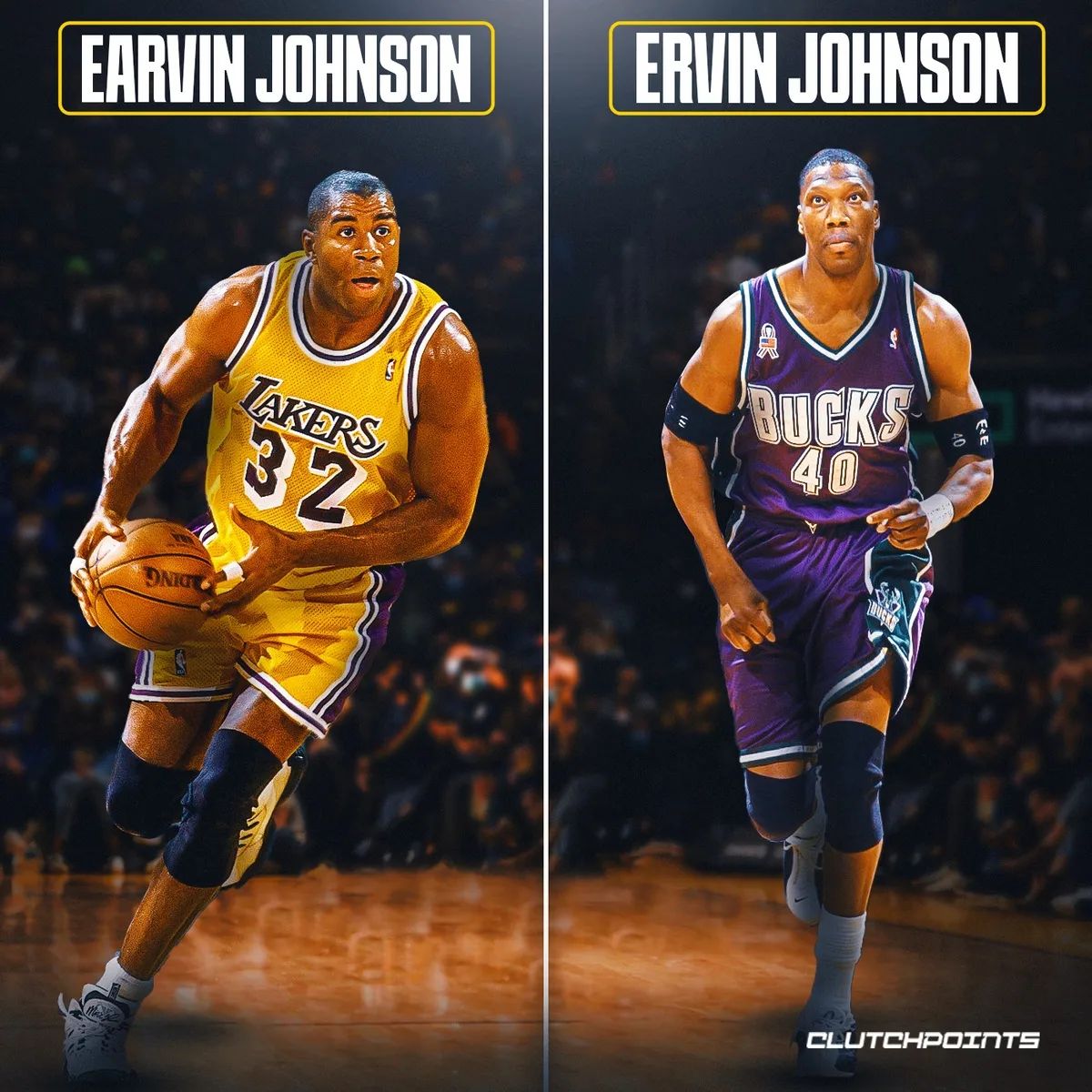 埃尔文-约翰逊VS欧文-约翰逊