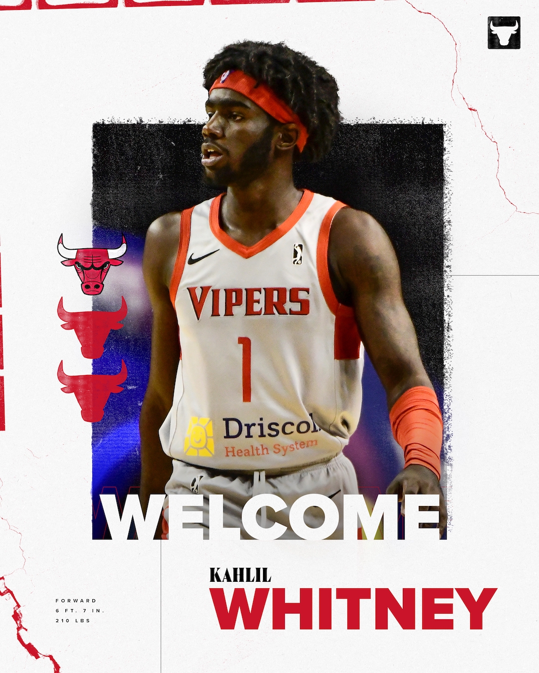 2010年探花回来了公牛官宣签下中锋费沃斯和前锋惠特尼