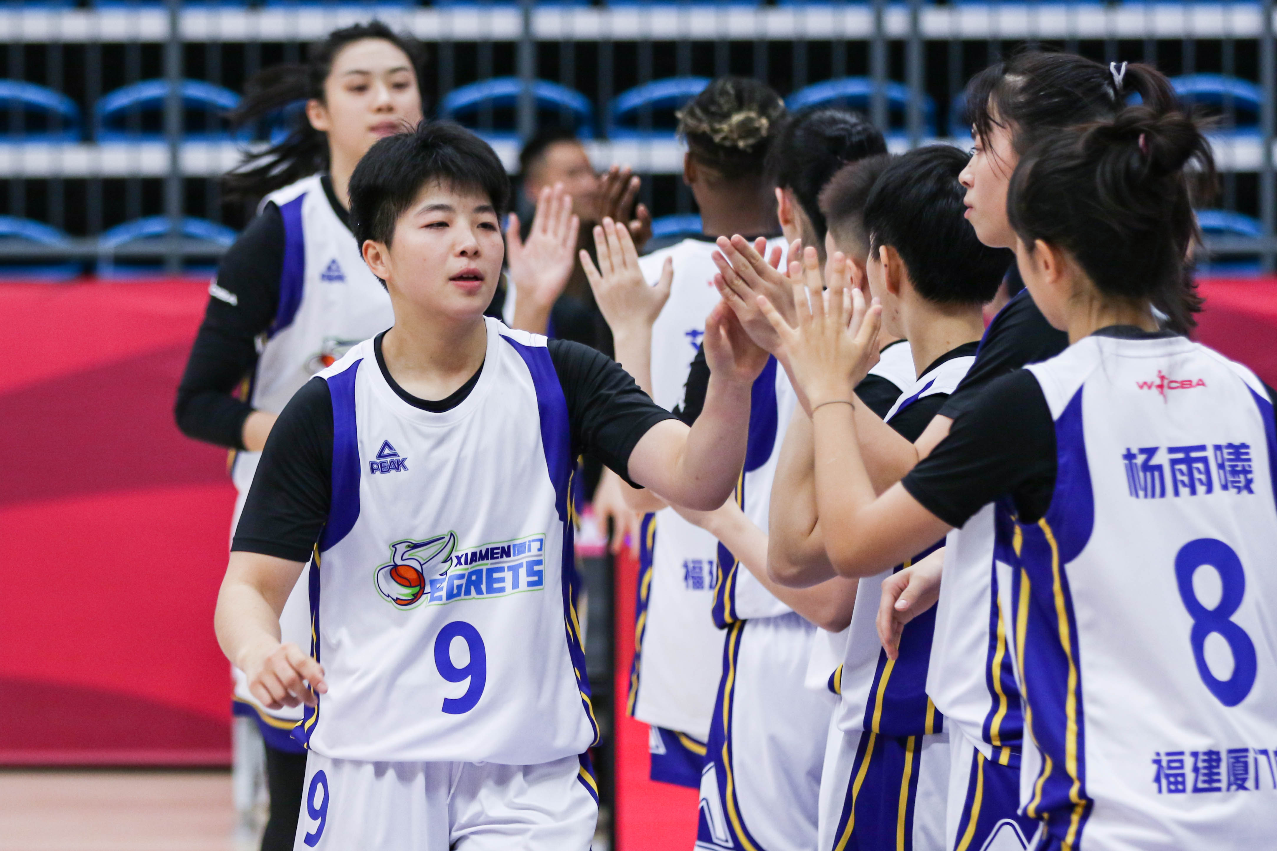 厦门女篮攻防表现低迷主场不敌北京女篮赛后全队加练折返跑