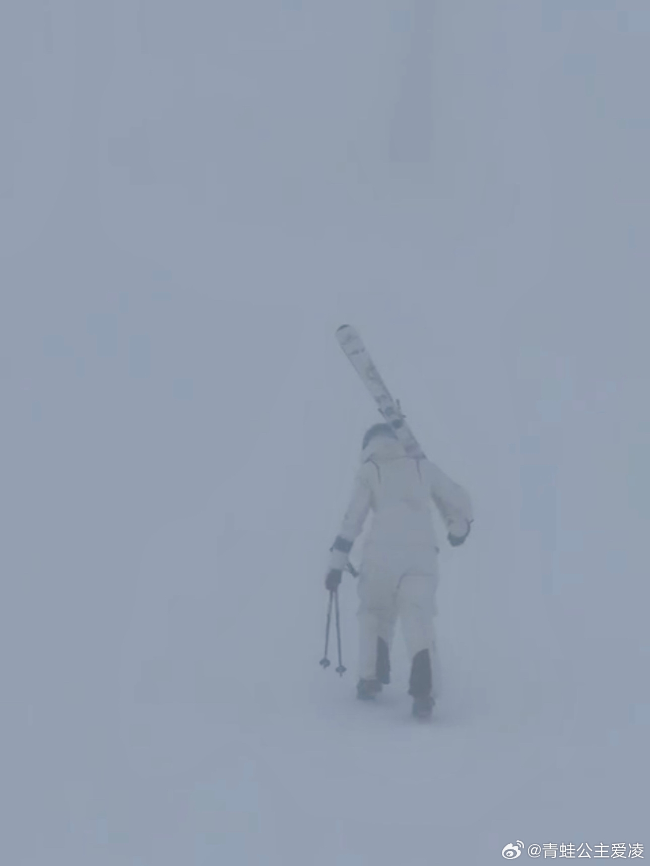 谷爱凌送中秋祝福：在风雪交加的山上吃到地道的月饼和韭菜饺子啦