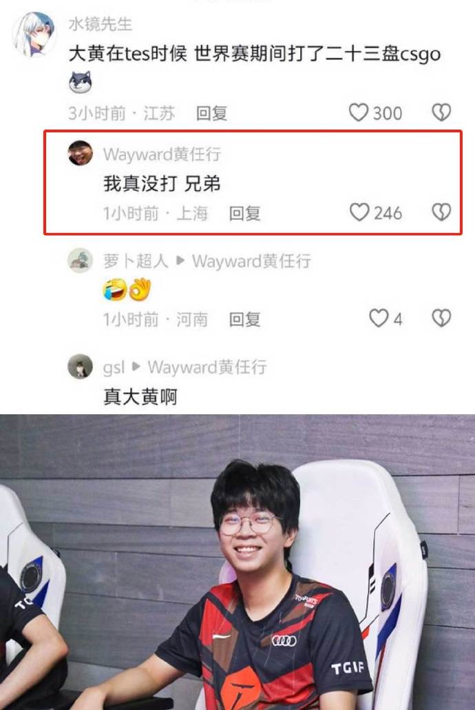 真没干😂Wayward再次澄清：世界赛期间真没打CSGO！兄弟