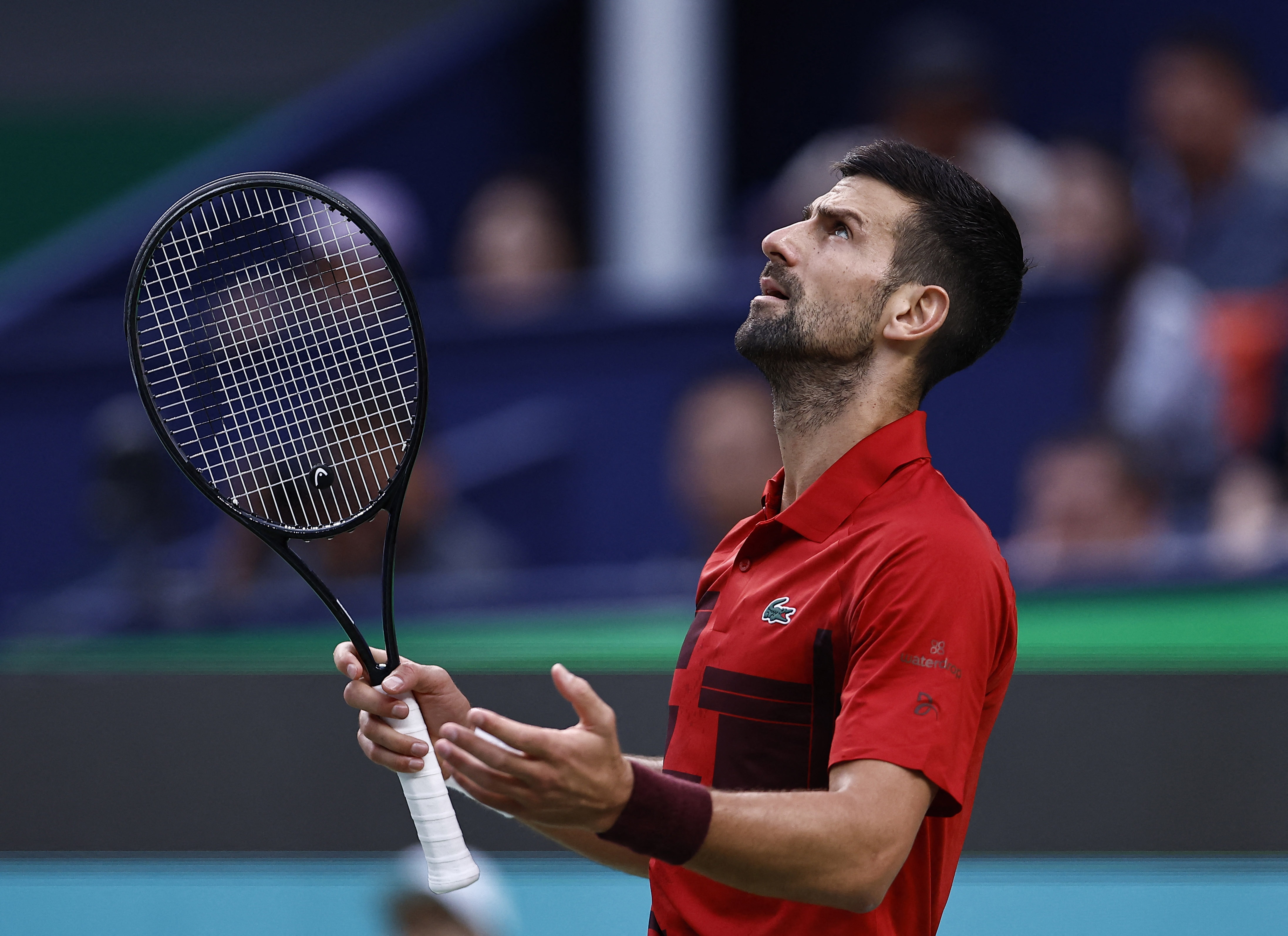 ATP250布里斯班：德约科维奇2-0击败土方凛辉取得赛季首胜