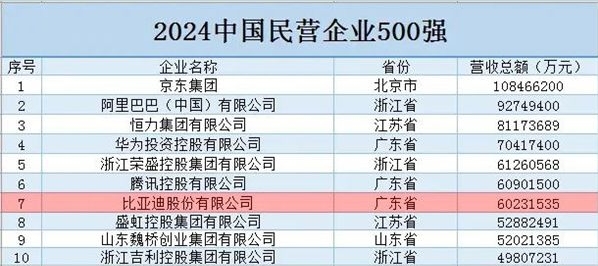 2024中国民营企业500强榜单：京东营收破万亿,比亚迪排名仅次腾讯