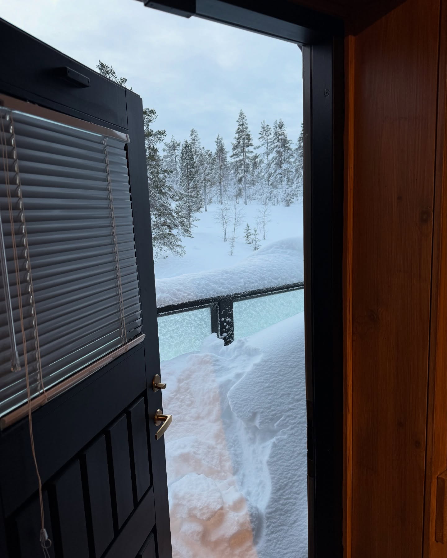 乔治娜晒全家福👨‍👩‍👧‍👦一家七口在北极滑雪⛷️