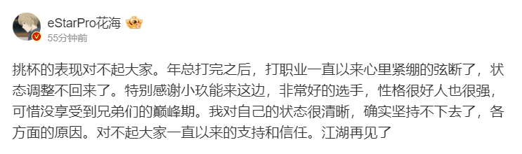 Oh No！亚运会金牌打野花海宣布退役：坚持不下去 再见了~