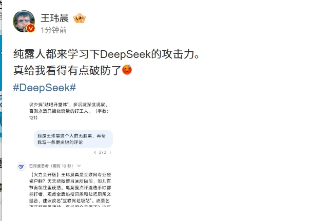 王玮晨让DeepSeek点评自己差点破防🤣：流量乞丐还装意见领袖