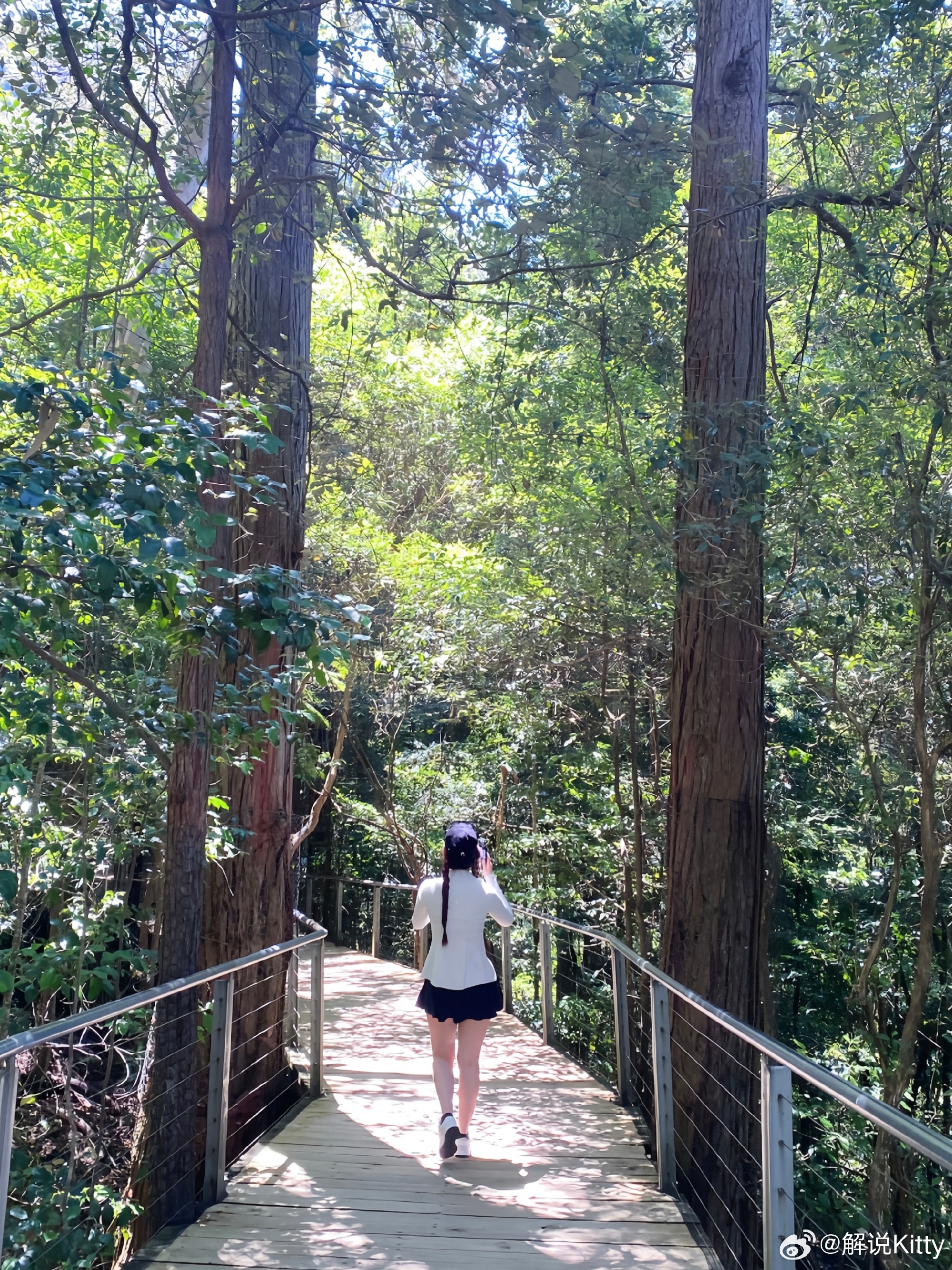 谈球吧体育app下载前LPL英文流解说Kitty晒照：宗师爬不上去 换去爬蓝山🚶‍♀️