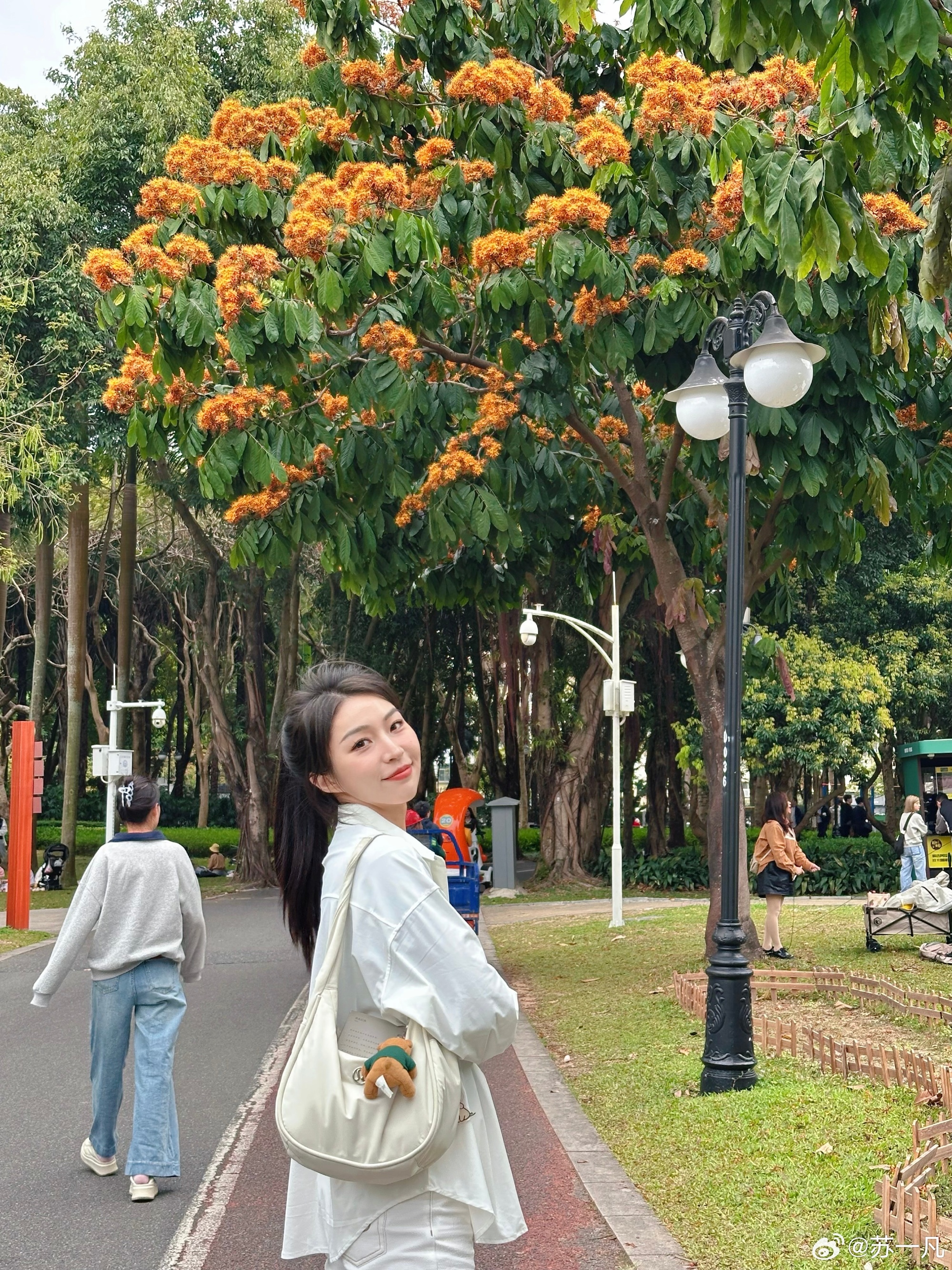 谈球吧官网登录入口解说苏一凡分享美照：😴在草地上睡着啦