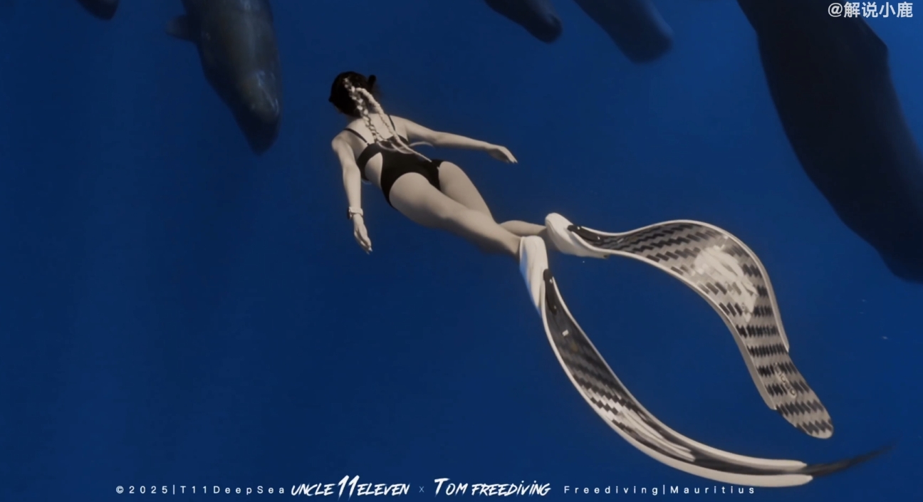 KPL女解说小鹿分享比基尼潜水视频：遇到抹香鲸🐋震撼无法形容