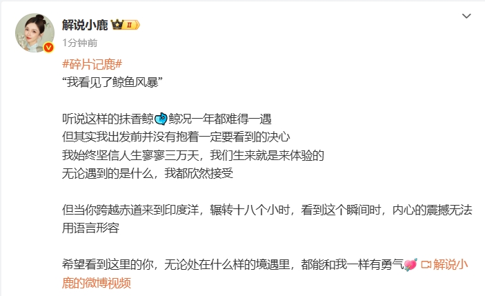 KPL女解说小鹿分享比基尼潜水视频：遇到抹香鲸🐋震撼无法形容