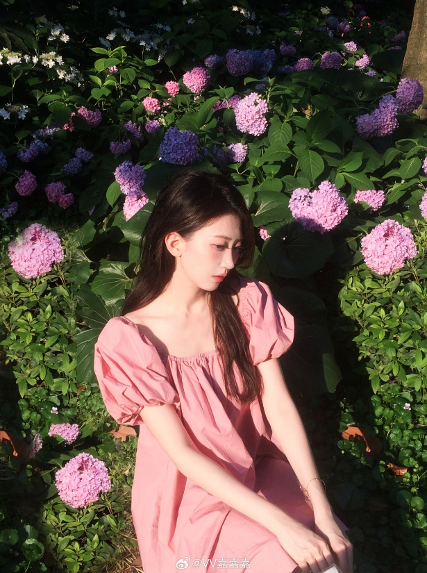 无畏契约美女主持V嘉晒照：拍了拍夏天，最浪漫的花海🌸