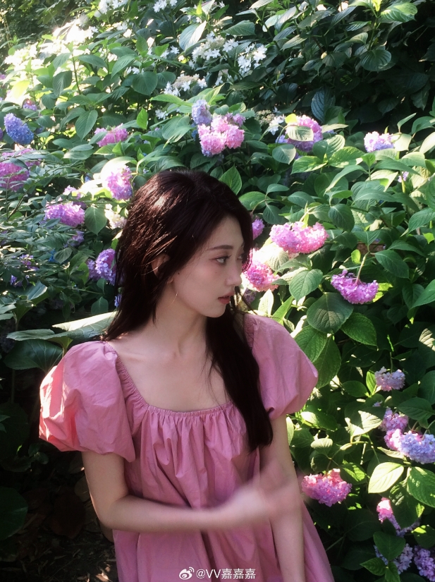 无畏契约美女主持V嘉晒照：拍了拍夏天，最浪漫的花海🌸