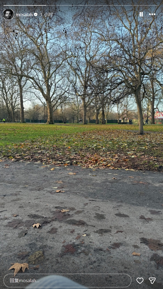 此为何意？萨拉赫更新社媒，晒落叶景色图