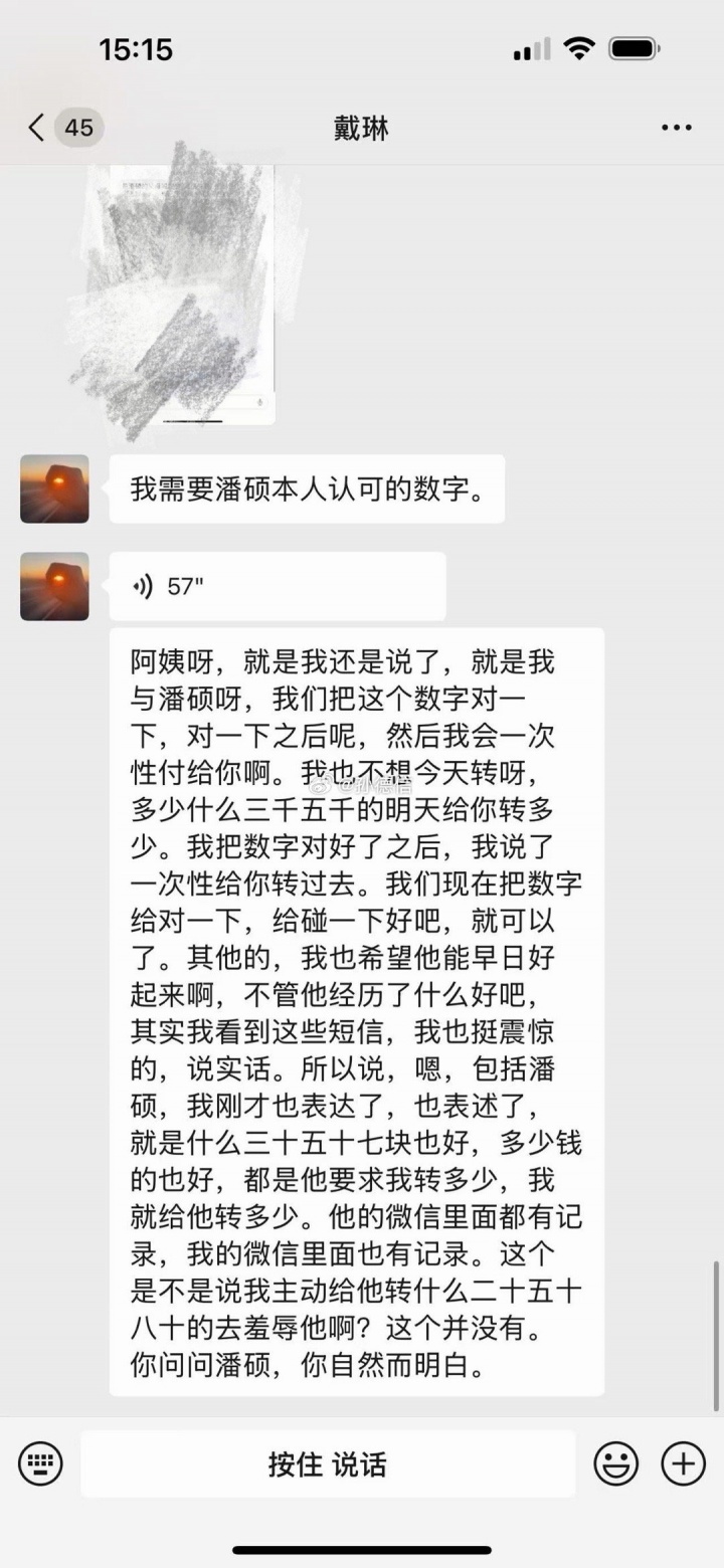 媒体人再晒戴琳聊天记录：10月还认账，潘硕昏迷后却说要对账