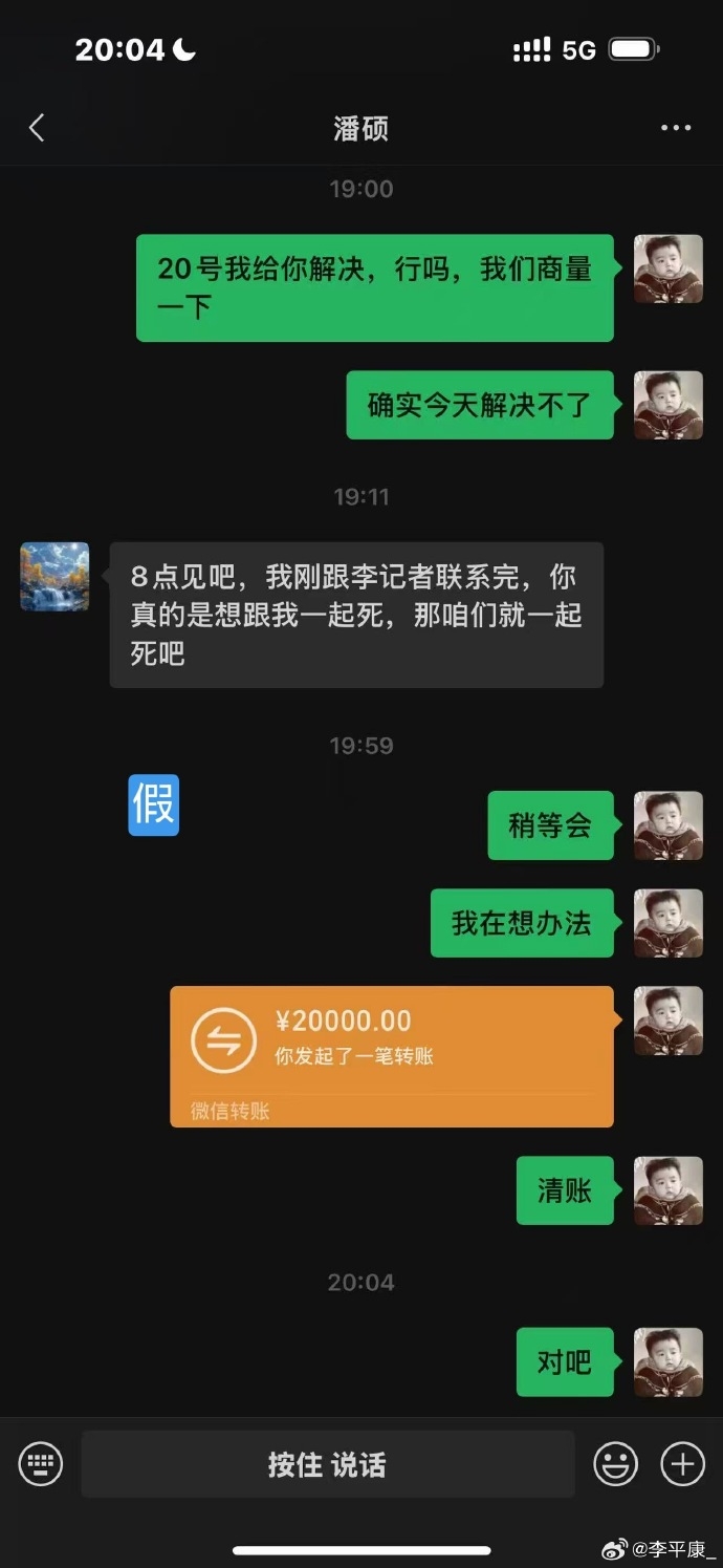【今日焦点】李平康曝光对戴琳的刑事控告书：三起诈骗，共骗取十一万七千元(图5)