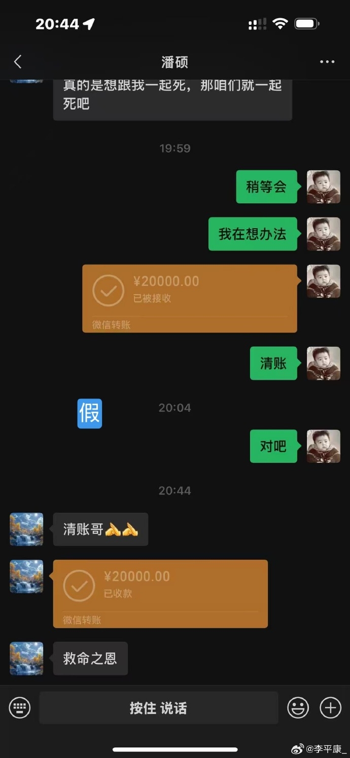 【今日焦点】李平康曝光对戴琳的刑事控告书：三起诈骗，共骗取十一万七千元(图6)
