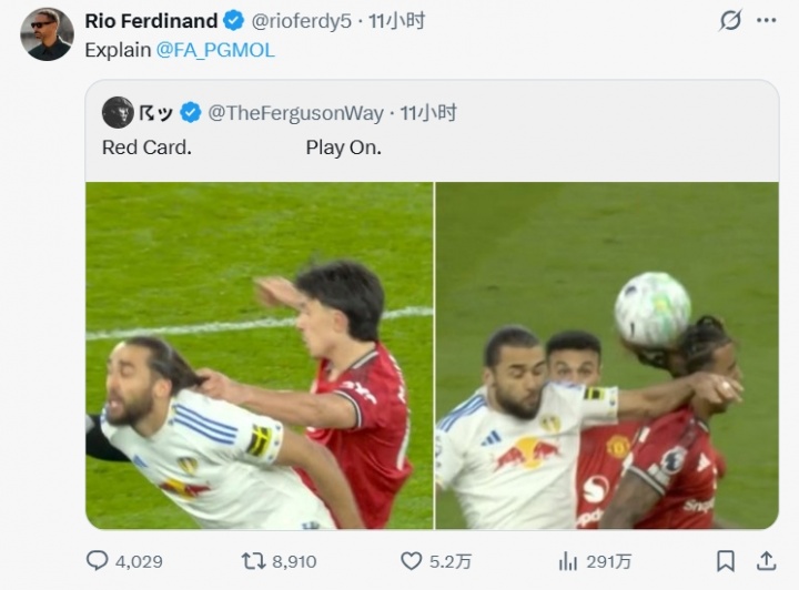 【赛事追踪】费迪南德转发利马拉头发和勒温肘击约罗对比图，要求裁判公司解释(图2)