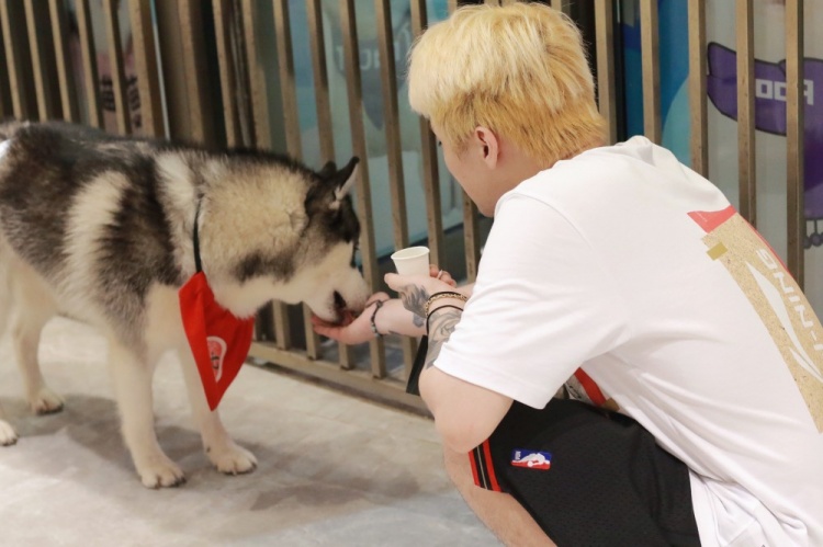 lng晒图很想看狗狗jungleking李小勇