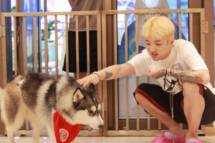 lng晒图很想看狗狗jungleking李小勇