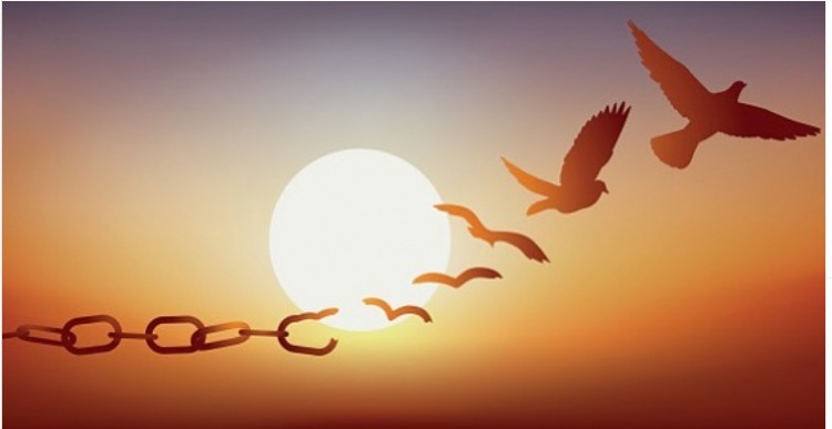 心情释放了欧文ins晒飞鸟挣脱枷锁图78无限释放