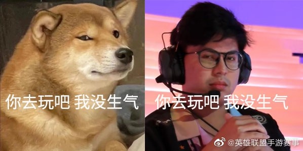 lol猫咪生气表情图片