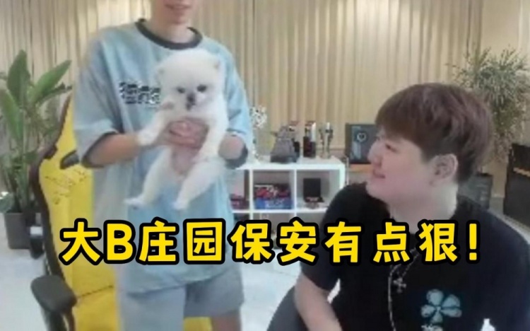 真B达拉宫！Zoom：我自己带了鼠标结果被保安搜身了