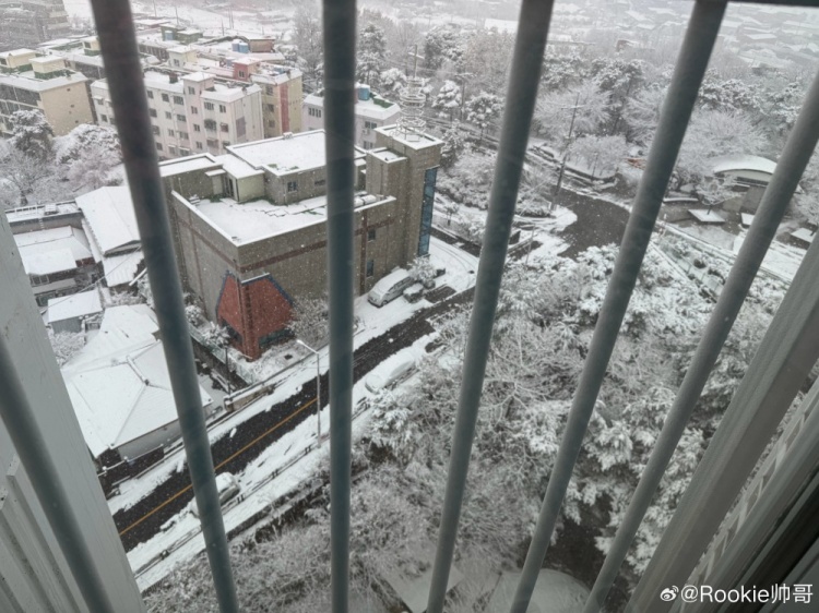 Rookie分享韩国当地雪景照片：White Christmas🎄