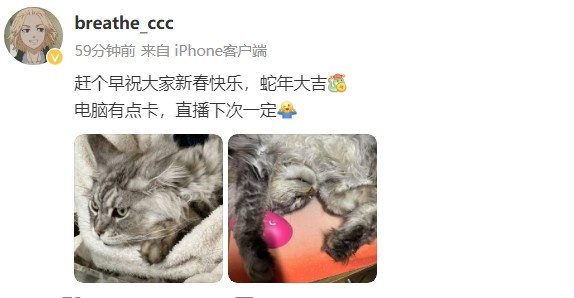 呼吸哥晒猫：赶个早祝大家新春快乐，蛇年大吉