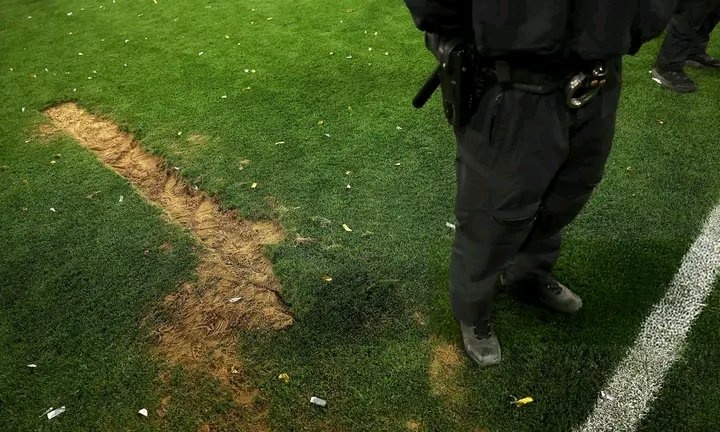 德天空：巴黎球迷挖走大片草皮致安联球场受损，欧足联将重金罚款