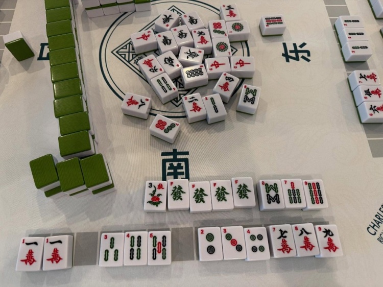 学习国粹！瓦妮莎打起了麻将这麻将还是外国特供版