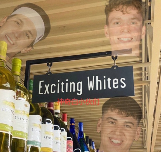 [哈登]键盘侠|詹冠里戴 受吾一拜！众所周知 哈登人称小里夫斯！(图2)