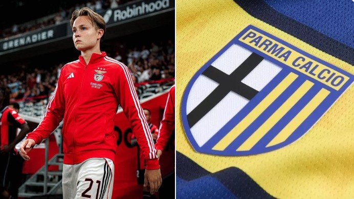 迪馬：帕爾馬正在接觸本菲卡前鋒謝爾德魯普，目前雙方談判已啟動(dòng)