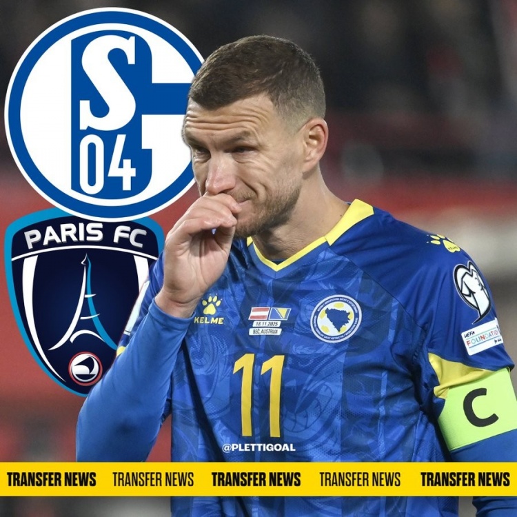 德天空：德乙领头羊沙尔克实质性报价39岁中锋哲科，巴黎FC也有意