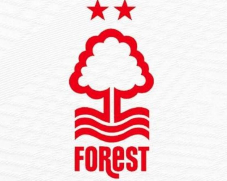 [精彩资讯]TA：一个老板的两支球队不能同时参加欧冠，森林队