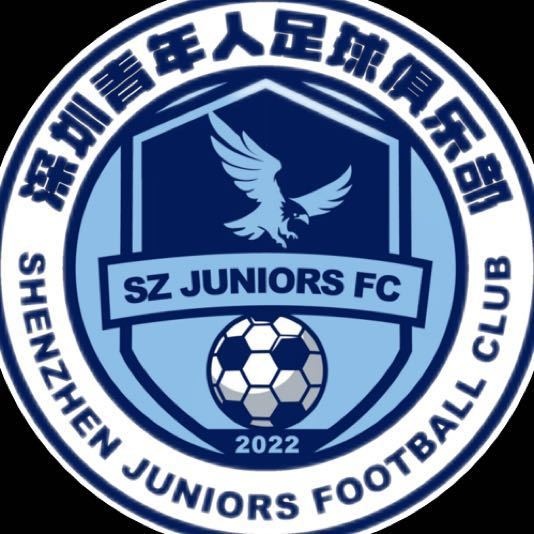 [你怎么看？]深圳青年人总经理：希望如大家愿，明年有中超深圳